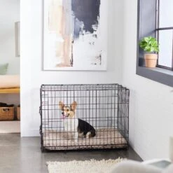 Frisco Swirl Dog Crate Mat 10 Frisco Swirl Dog Crate Mat -Pet Dog Shop 110506 PT5. AC SS1800 V1635258765