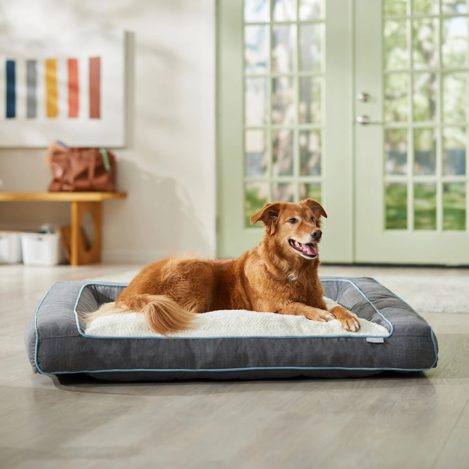 Frisco Plush Orthopedic Bolster Dog Bed W/Removable Cover 1 Frisco Plush Orthopedic Bolster Dog Bed W/Removable Cover