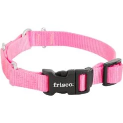 Frisco Solid Nylon Martingale Dog Collar With Buckle 10 Frisco Solid Nylon Martingale Dog Collar With Buckle -Pet Dog Shop 139177 PT3. AC SS1800 V1620068872