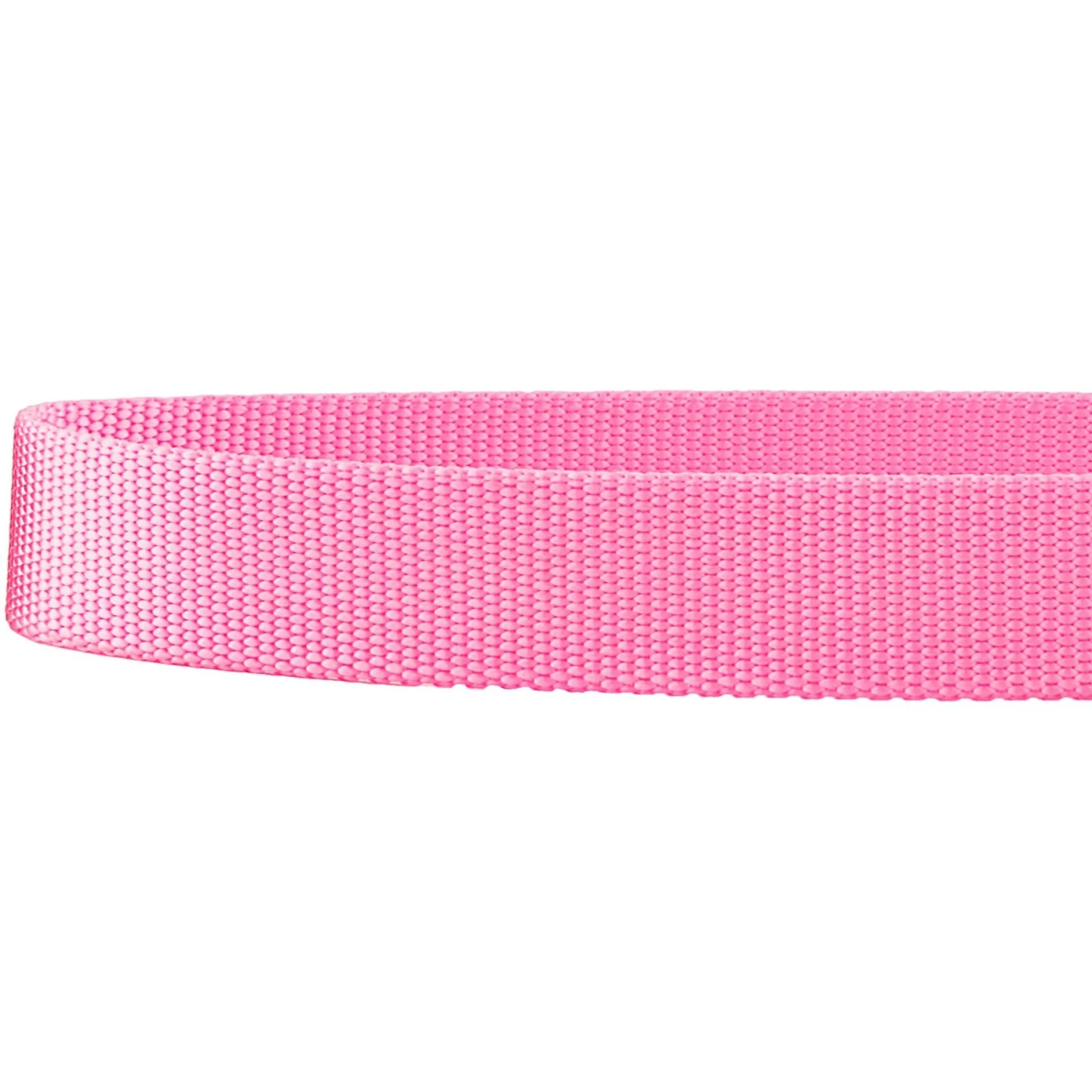 Frisco Solid Nylon Martingale Dog Collar With Buckle 6 Frisco Solid Nylon Martingale Dog Collar With Buckle - Image 6