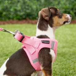 Frisco Small Breed Soft Vest Step In Back Clip Dog Harness -Pet Dog Shop 139821 PT5. AC SS1800 V1561573781