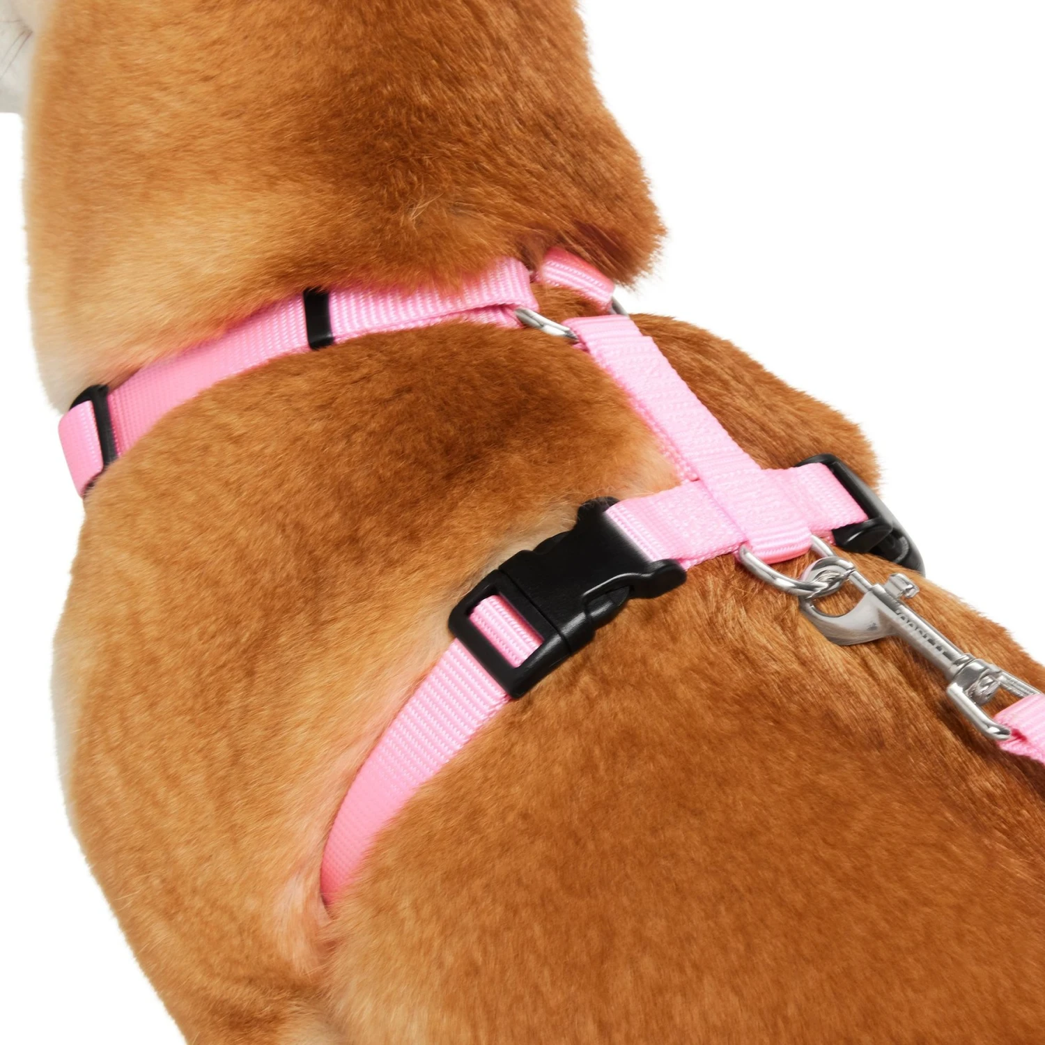 Frisco Padded Nylon No Pull Dog Harness 2 Frisco Padded Nylon No Pull Dog Harness - Image 2