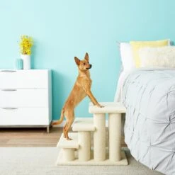 Frisco 18.5 Or 24.5 Inch 2-in-1 Cat & Dog Stairs 13 Frisco 18.5 Or 24.5 Inch 2-in-1 Cat & Dog Stairs -Pet Dog Shop 140154 PT6. AC SS1800 V1584453442