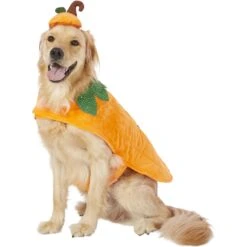 Frisco Pumpkin Dog & Cat Costume 11 Frisco Pumpkin Dog & Cat Costume -Pet Dog Shop 144446 PT2. AC SS1800 V1567174700