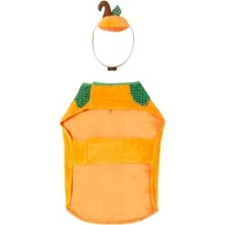 Frisco Pumpkin Dog & Cat Costume 13 Frisco Pumpkin Dog & Cat Costume -Pet Dog Shop 144446 PT4. AC SS1800 V1567176587