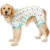 Frisco Dinosaur Print Dog & Cat Jersey PJs