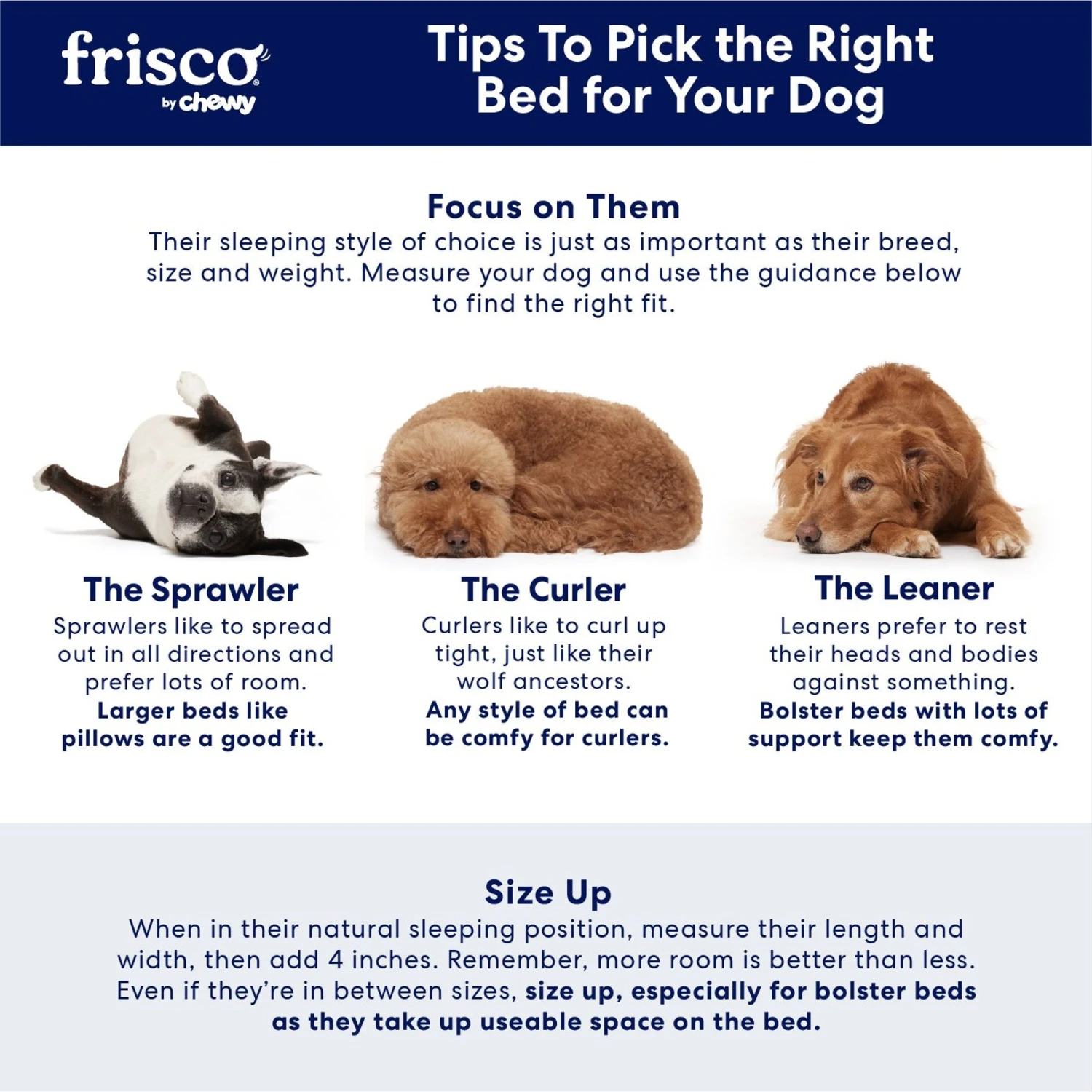 Frisco Plush Orthopedic Front Bolster Cat & Dog Bed W/Removable Cover 6 Frisco Plush Orthopedic Front Bolster Cat & Dog Bed W/Removable Cover - Image 6