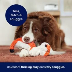 Frisco Fox Skinny Plush Squeaky Dog Toy -Pet Dog Shop 147049 PT5. AC SS1800 V1691776638