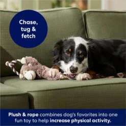 Frisco Monkey Plush With Rope Squeaky Dog Toy 8 Frisco Monkey Plush With Rope Squeaky Dog Toy -Pet Dog Shop 147067 PT4. AC SS1800 V1686079871