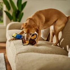 Frisco Duck Flat Plush Squeaky Dog Toy -Pet Dog Shop 147069 PT3. AC SS1800 V1674158058