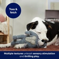 Frisco Wolf Muscle Plush Squeaky Dog Toy -Pet Dog Shop 147082 PT5. AC SS1800 V1691776574