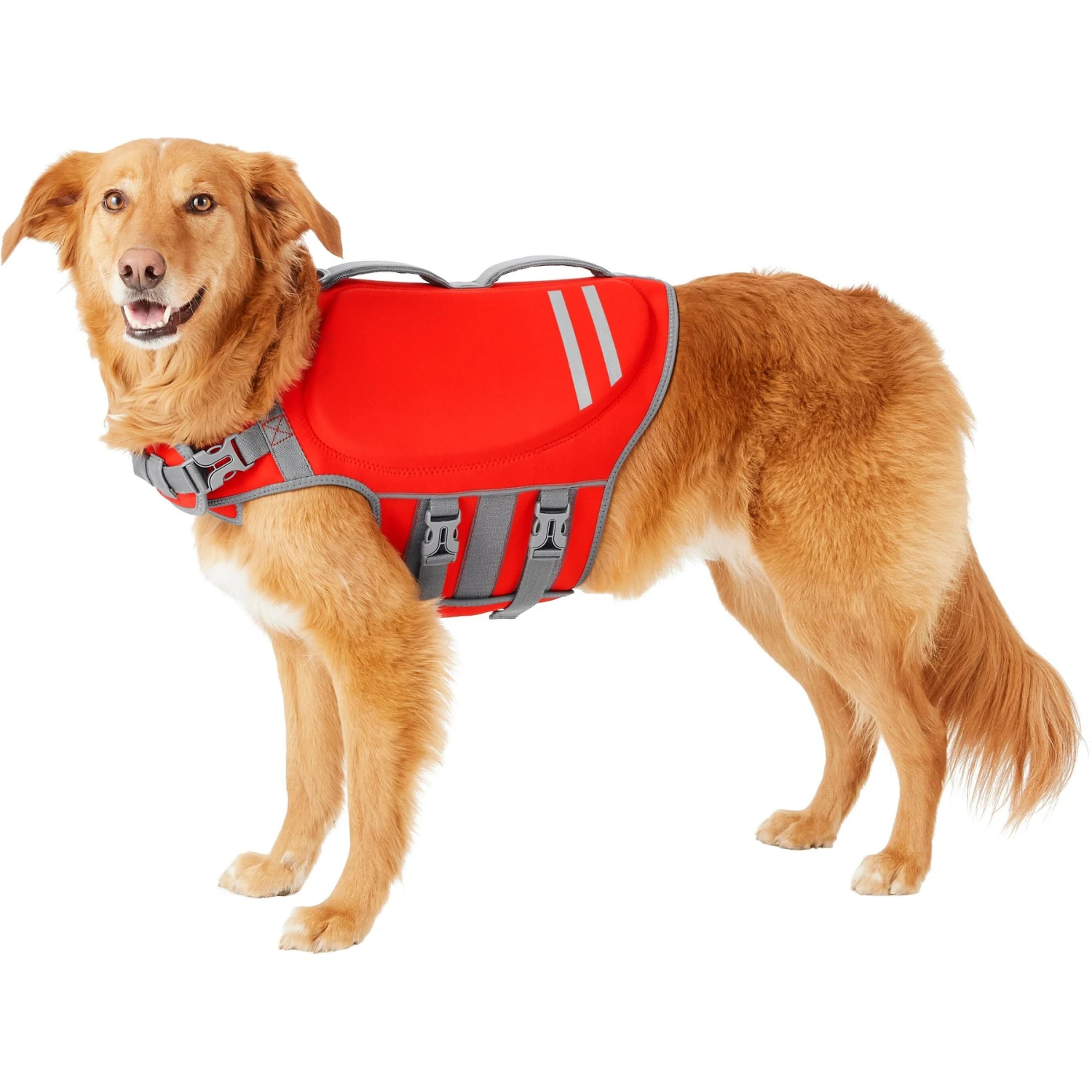 Frisco Neoprene Dog Life Jacket 1 Frisco Neoprene Dog Life Jacket