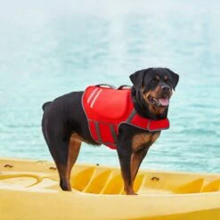 Frisco Neoprene Dog Life Jacket 16 Frisco Neoprene Dog Life Jacket -Pet Dog Shop 152465 PT7. AC SS1800 V1631058734