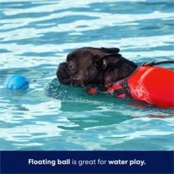 Frisco Foam Rubber Floating Fetch Ball No Squeak Dog Toy -Pet Dog Shop 152798 PT3. AC SS1800 V1686579688