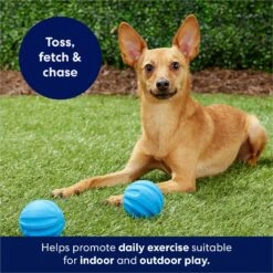 Frisco Foam Rubber Floating Fetch Ball No Squeak Dog Toy -Pet Dog Shop 152798 PT4. AC SS1800 V1686579140