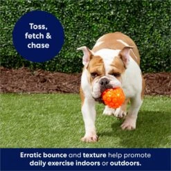 Frisco Fetch Squeaky TPR Ball Dog Toy 10 Frisco Fetch Squeaky TPR Ball Dog Toy -Pet Dog Shop 152801 PT4. AC SS1800 V1686580091