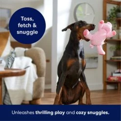 Frisco Corduroy Plush Squeaking Pig Dog Toy 10 Frisco Corduroy Plush Squeaking Pig Dog Toy -Pet Dog Shop 152832 PT4. AC SS1800 V1695671001