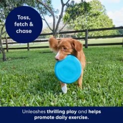 Frisco Fetch Rubber Flyer Dog Toy 6 Frisco Fetch Rubber Flyer Dog Toy -Pet Dog Shop 152848 PT5. AC SS1800 V1692370079