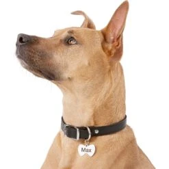 Frisco Stainless Steel Personalized Dog & Cat ID Tag, Bow Tie 12 Frisco Stainless Steel Personalized Dog & Cat ID Tag, Bow Tie -Pet Dog Shop 152997 PT5. AC SS1800 V1540562104
