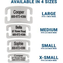 Frisco Stainless Steel Slide-On Personalized Dog & Cat Tag, Open Design 8 Frisco Stainless Steel Slide-On Personalized Dog & Cat Tag, Open Design -Pet Dog Shop 153050 PT3. AC SS1800 V1644013293