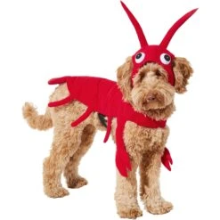 Frisco Red Lobster Dog & Cat Costume 10 Frisco Red Lobster Dog & Cat Costume -Pet Dog Shop 158723 PT2. AC SS1800 V1659023725
