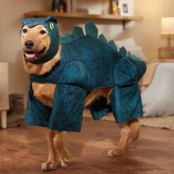 Frisco Stegosaurus Dinosaur Dog & Cat Costume -Pet Dog Shop 158777 PT7. AC SS1800 V1567180627