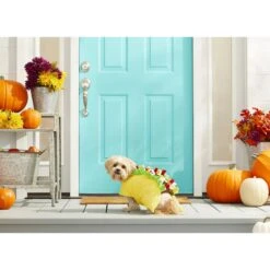 Frisco Taco Dog & Cat Costume -Pet Dog Shop 158826 PT3. AC SS1800 V1567175798