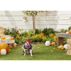 Frisco Front Walking Cowboy Dog & Cat Costume 9 Frisco Front Walking Cowboy Dog & Cat Costume -Pet Dog Shop 158842 PT3. AC SS1800 V1567176047