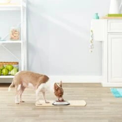 Frisco Non-Skid Stainless Steel Bowl -Pet Dog Shop 159860 PT3. AC SS1800 V1570543131