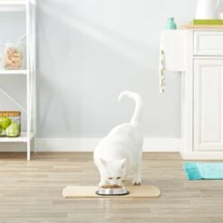 Frisco Non-Skid Stainless Steel Bowl -Pet Dog Shop 159860 PT4. AC SS1800 V1570543031