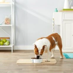 Frisco Stainless Steel Dog & Cat Bowl 6 Frisco Stainless Steel Dog & Cat Bowl -Pet Dog Shop 159867 PT3. AC SS1800 V1570543097