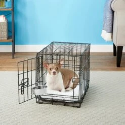 Frisco Stainless Steel Kennel Bowl Dog & Cat Bowl 6 Frisco Stainless Steel Kennel Bowl Dog & Cat Bowl -Pet Dog Shop 159871 PT3. AC SS1800 V1570543067