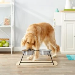 Frisco Pyramid Elevated Stainless Steel Double Diner Dog & Cat Bowl 7 Frisco Pyramid Elevated Stainless Steel Double Diner Dog & Cat Bowl -Pet Dog Shop 159884 PT3. AC SS1800 V1561123346