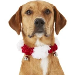 Frisco Jingle Bells Dog & Cat Holiday Collar With Bells, 1 Count 8 Frisco Jingle Bells Dog & Cat Holiday Collar With Bells, 1 Count -Pet Dog Shop 160063 PT2. AC SS1800 V1669101088
