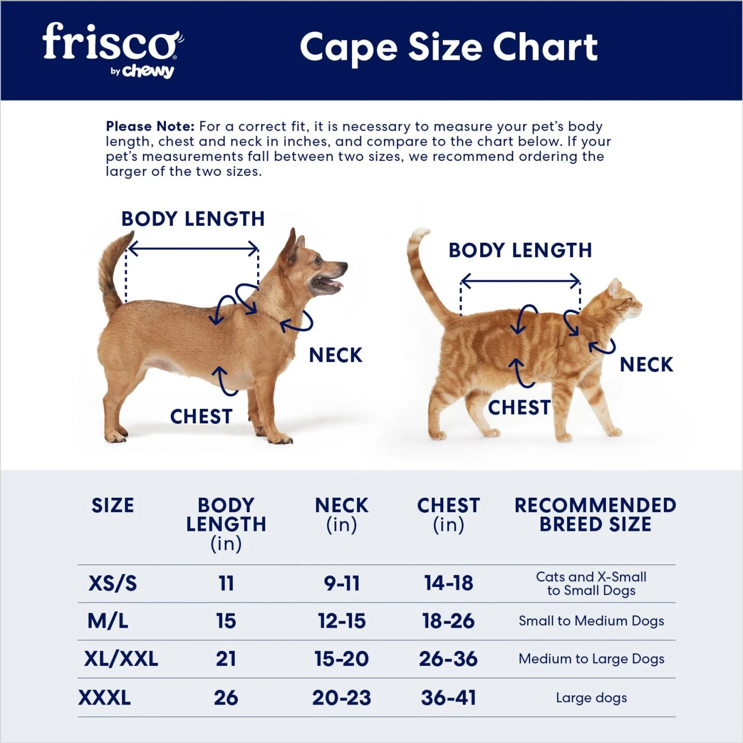 Frisco Vampire Cape Dog & Cat Costume 2 Frisco Vampire Cape Dog & Cat Costume - Image 2