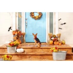 Frisco Vampire Cape Dog & Cat Costume 8 Frisco Vampire Cape Dog & Cat Costume -Pet Dog Shop 160793 PT3. AC SS1800 V1567176564