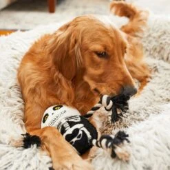 Frisco Halloween Skeleton Plush With Rope Squeaky Dog Toy -Pet Dog Shop 161358 PT6. AC SS1800 V1597599370