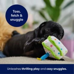 Frisco Birthday Cake Slice Plush Squeaky Dog Toy 10 Frisco Birthday Cake Slice Plush Squeaky Dog Toy -Pet Dog Shop 162906 PT4. AC SS1800 V1695671059