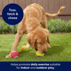 Frisco Birthday Fetch Squeaky Tennis Ball Dog Toy 11 Frisco Birthday Fetch Squeaky Tennis Ball Dog Toy -Pet Dog Shop 162914 PT5. AC SS1800 V1692020098