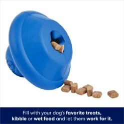Frisco Flying Saucer Rubber Treat Dispenser Dog Toy 10 Frisco Flying Saucer Rubber Treat Dispenser Dog Toy -Pet Dog Shop 164757 PT3. AC SS1800 V1686579570