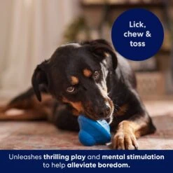 Frisco Flying Saucer Rubber Treat Dispenser Dog Toy 12 Frisco Flying Saucer Rubber Treat Dispenser Dog Toy -Pet Dog Shop 164757 PT5. AC SS1800 V1691784247