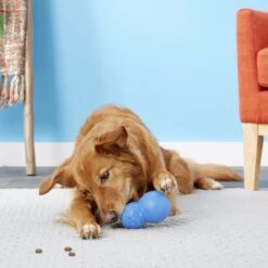 Frisco Snowman Rubber Treat Dispenser Dog Toy 11 Frisco Snowman Rubber Treat Dispenser Dog Toy -Pet Dog Shop 164769 PT4. AC SS1800 V1563808954