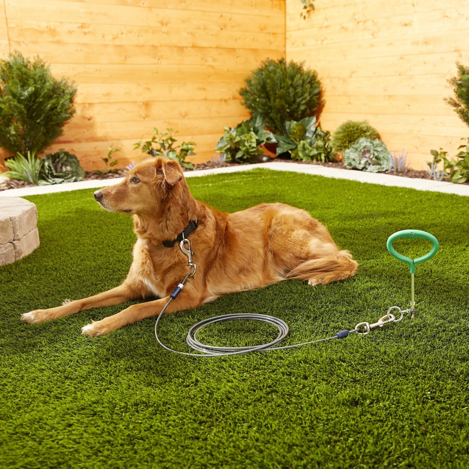 Frisco Tie Out Cable 2 Frisco Tie Out Cable - Image 2