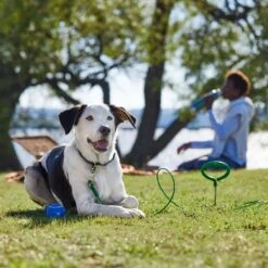 Frisco Easy Grip Stake With Tie Out Cable, Large 10 Frisco Easy Grip Stake With Tie Out Cable, Large -Pet Dog Shop 166447 PT5. AC SS1800 V1701796826