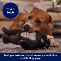 Frisco Rhino Muscle Plush Squeaky Dog Toy -Pet Dog Shop 174719 PT5. AC SS1800 V1694182068