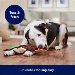 Frisco Mallard Stuffing-Free Flat Plush Squeaky Dog Toy 10 Frisco Mallard Stuffing-Free Flat Plush Squeaky Dog Toy -Pet Dog Shop 174731 PT5. AC SS1800 V1686579082