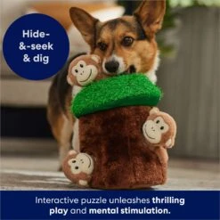 Frisco Monkeys In Tree Hide & Seek Puzzle Plush Squeaky Dog Toy 12 Frisco Monkeys In Tree Hide & Seek Puzzle Plush Squeaky Dog Toy -Pet Dog Shop 174759 PT5. AC SS1800 V1702598595