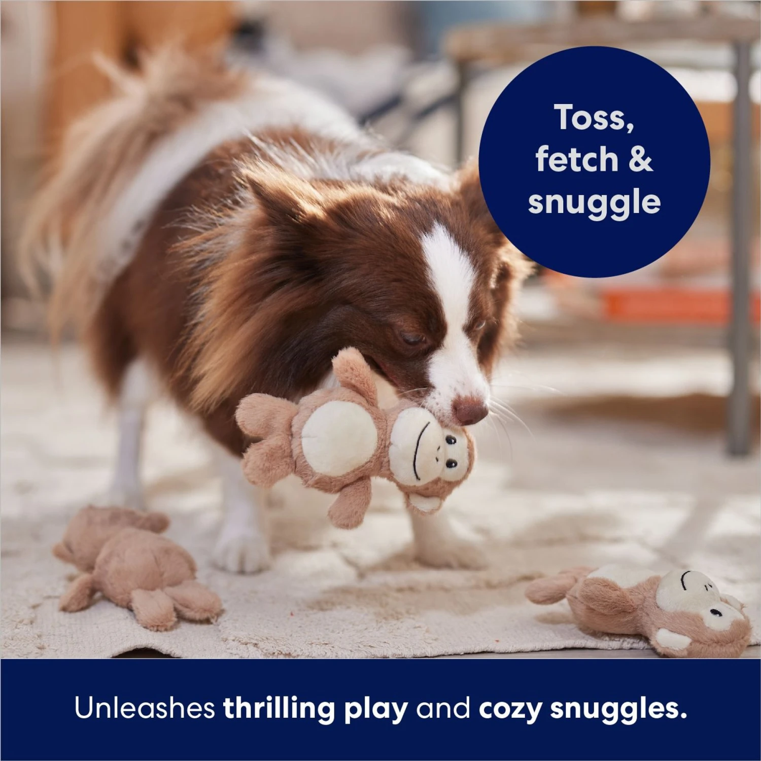 Frisco Monkeys In Tree Hide & Seek Puzzle Plush Squeaky Dog Toy Refills 4 Frisco Monkeys In Tree Hide & Seek Puzzle Plush Squeaky Dog Toy Refills - Image 4