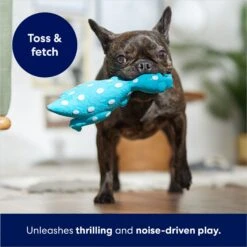 Frisco Dinosaur Latex Squeaky Dog Toy 8 Frisco Dinosaur Latex Squeaky Dog Toy -Pet Dog Shop 174770 PT3. AC SS1800 V1686579138