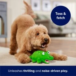 Frisco Alligator Latex Squeaky Dog Toy 8 Frisco Alligator Latex Squeaky Dog Toy -Pet Dog Shop 174772 PT3. AC SS1800 V1686579212